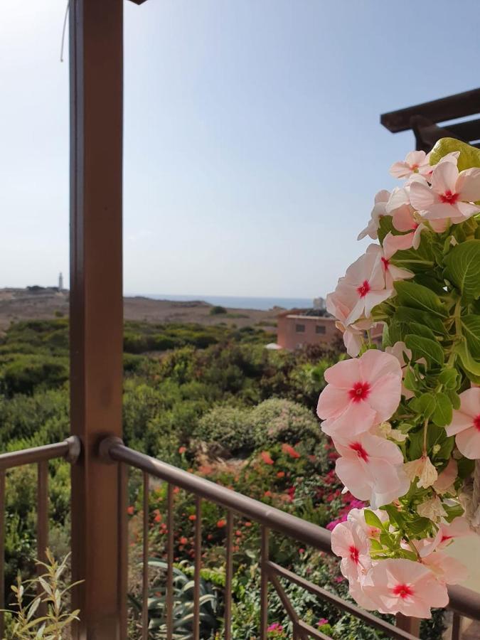 Ancient Paphos - Cozy Place Next To The Sea, Marina, Historical Sites, Buses, Mall, And Market Exterior photo